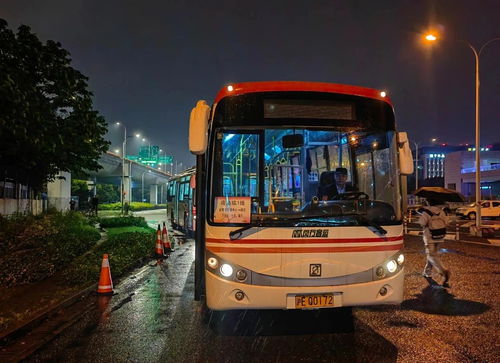 五一出行新福利 上海闵行推出临时接驳线与夜间免费停车服务